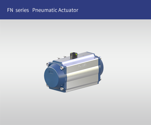 FN Series Pneumatic Actuator