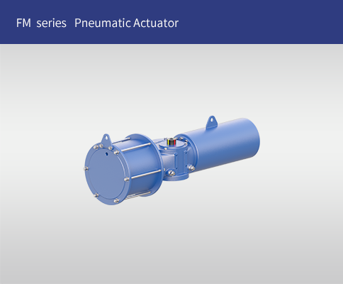 FM  Series Pneumatic Actuator