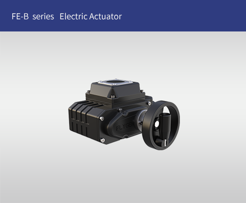 FE-B Series Electric Actuator