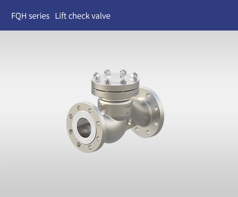 FQH Series Lift check valve